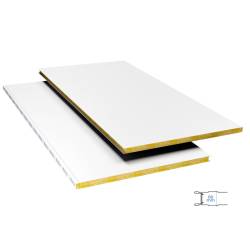 Panel facha  T Vista BOX60 In BP-LI Ex BP-LI